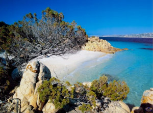 Sardegna - il Mare